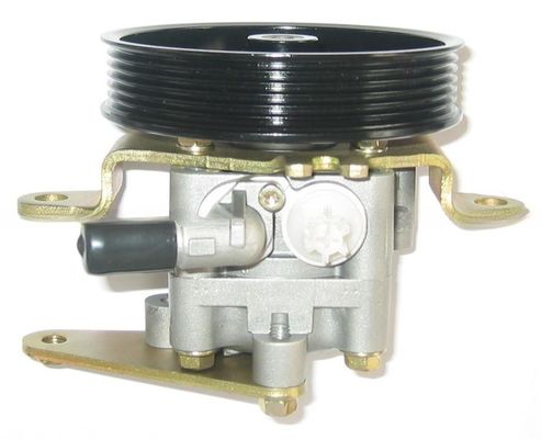 49110-8H305 Power Steering Pump For Nissan 2001-2013 Year X-Trail T30