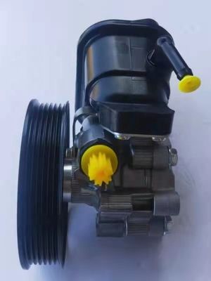 95048324 448188303 135811202 Power Steering Pump For  2006-2011 Chevrolet Captiva   With 1